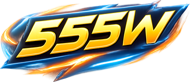 555w লোগো